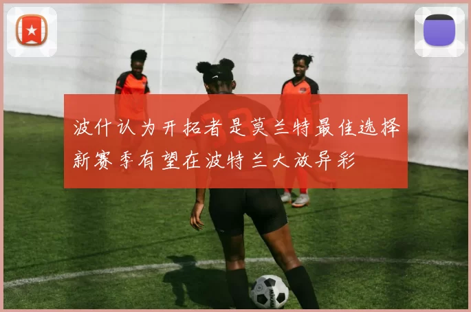 波什认为开拓者是莫兰特最佳选择新赛季有望在波特兰大放异彩